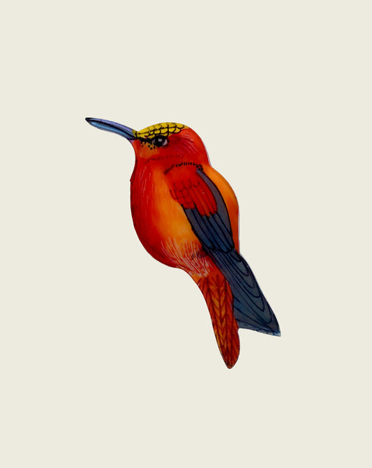 Handpainted Juan Fernandez  Hummingbird Pin - Red
